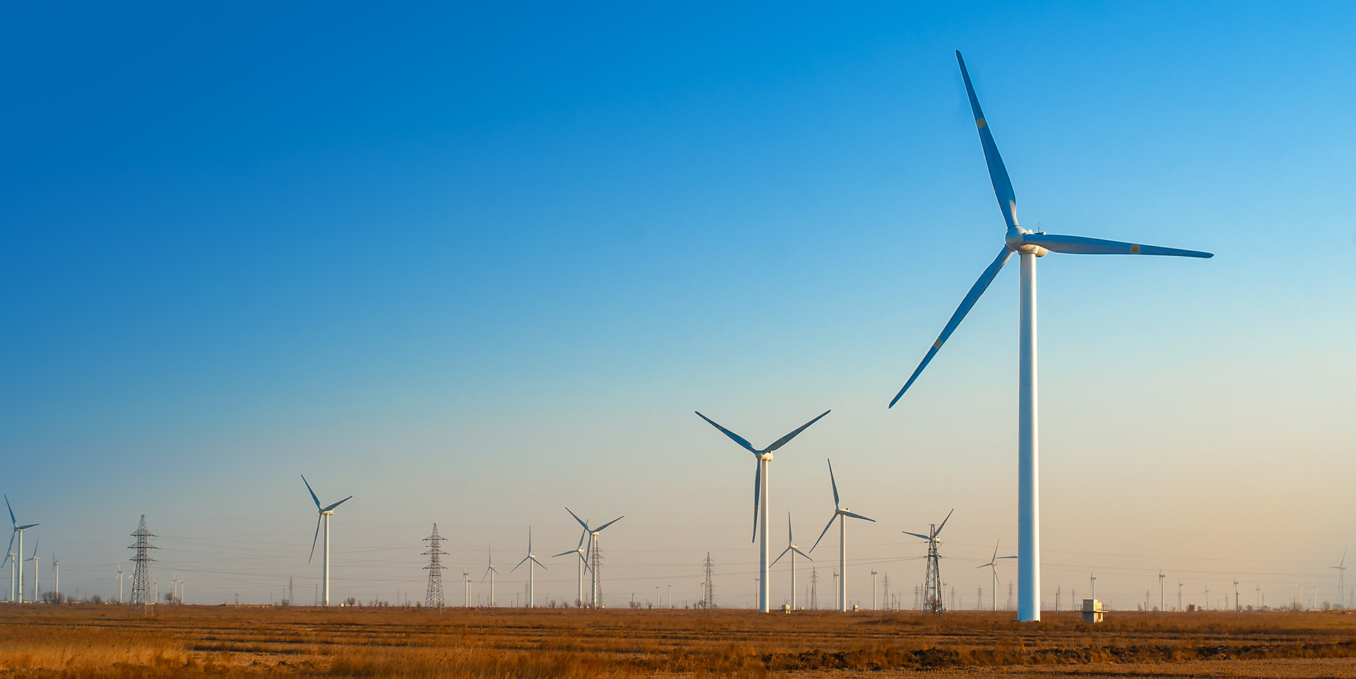 首页-人生就是博